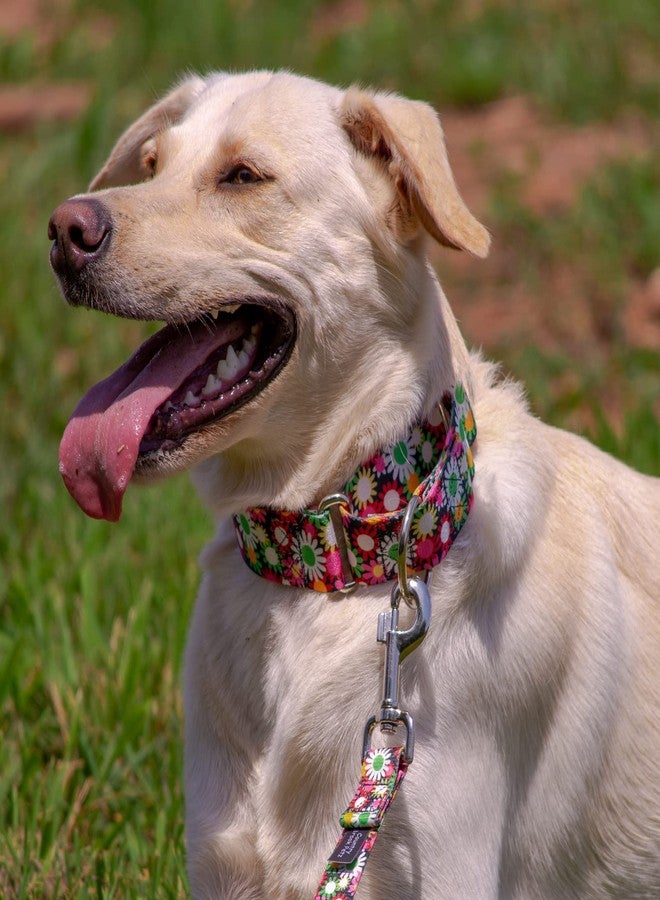 كانتري بروك ديزاين طوق ومقود للكلاب من Country Brook Petz - Daisy Fields Martingale - مجموعة زهور تتميز بتصاميم ساحرة (1 بوصة، متوسط) - Image 2